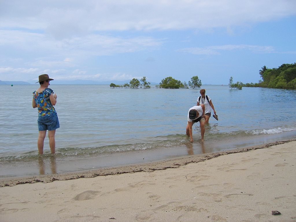 CairnsTC303 Port Douglas.jpg